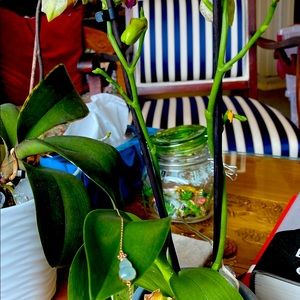 18 Kt and jade bracelet